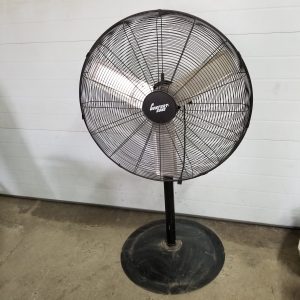 Fans-image