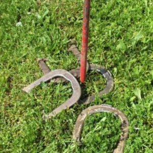 Horse Shoes-image