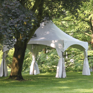 15 x 15 & 20 x 20 Frame Tents-image