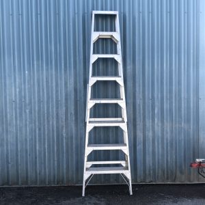 Ladders-image